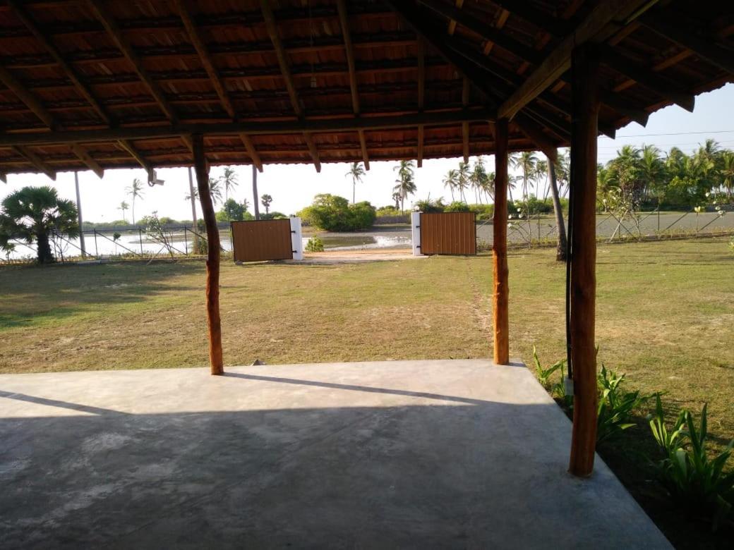 Windy Beach Cabanas Kalpitiya Bagian luar foto